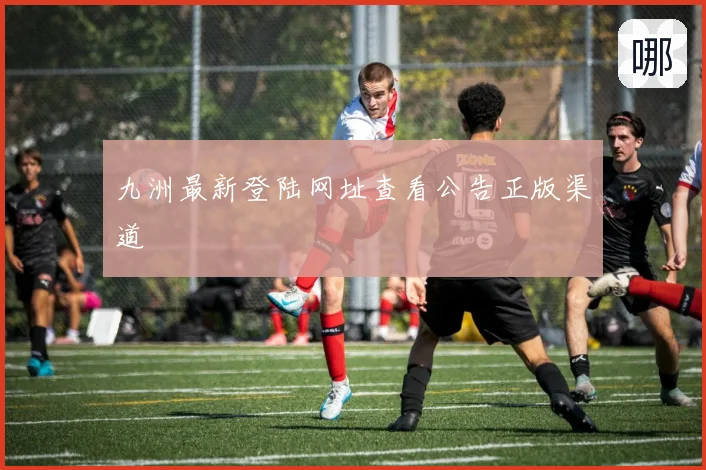 九洲最新登陆网址查看公告正版渠道